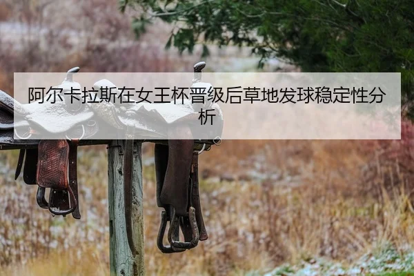 a-er-ka-la-si-zai-nv-wang-bei-jin-ji-hou-cao-di-fa-qiu-wen-ding-xing-fen-xi-2-300.jpg