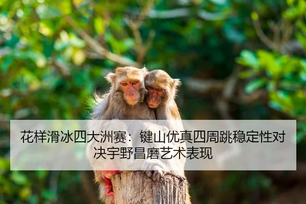 hua-yang-hua-bing-si-da-zhou-sai-jian-shan-you-zhen-si-zhou-tiao-wen-ding-xing-dui-jue-yu-ye-chang-mo-yi-shu-biao-xian-2-111.jpg